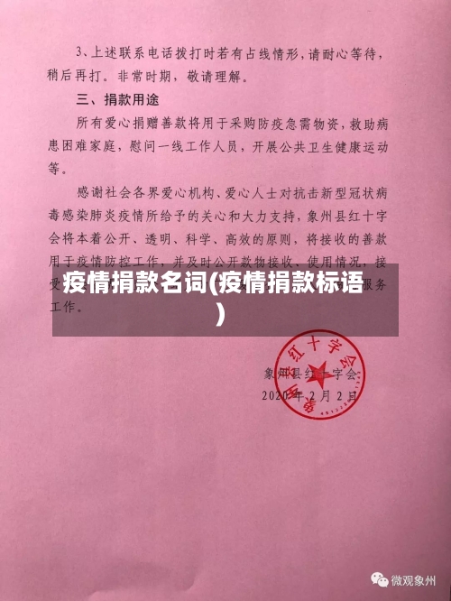 疫情捐款名词(疫情捐款标语)-第3张图片