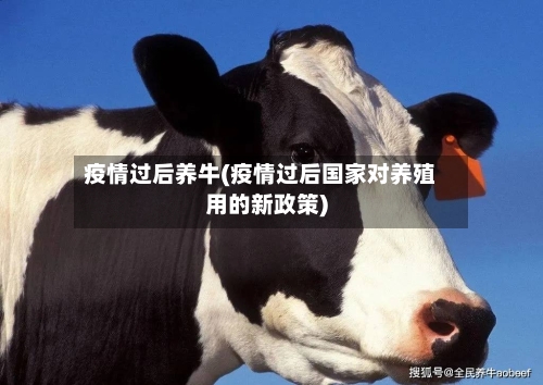 疫情过后养牛(疫情过后国家对养殖用的新政策)