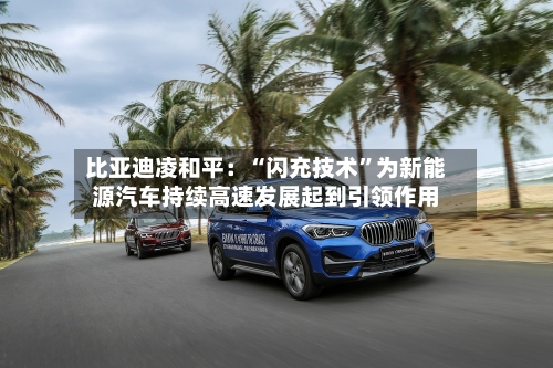 比亚迪凌和平：“闪充技术”为新能源汽车持续高速发展起到引领作用