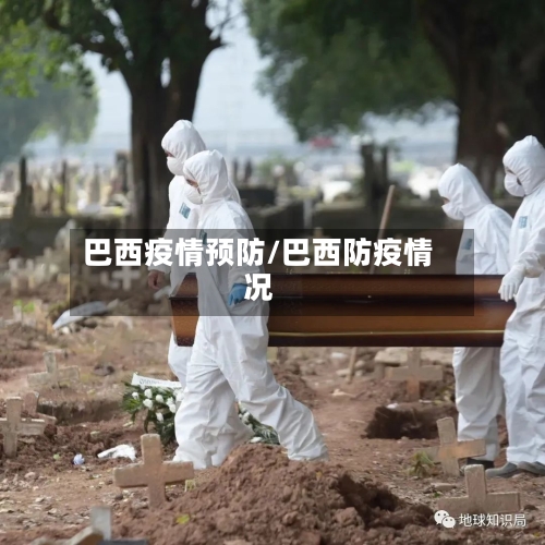 巴西疫情预防/巴西防疫情况-第2张图片