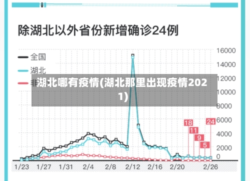 湖北哪有疫情(湖北那里出现疫情2021)