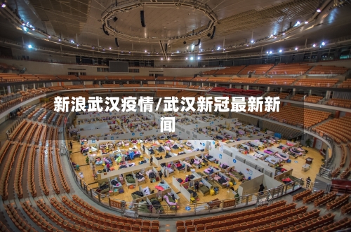 新浪武汉疫情/武汉新冠最新新闻-第3张图片