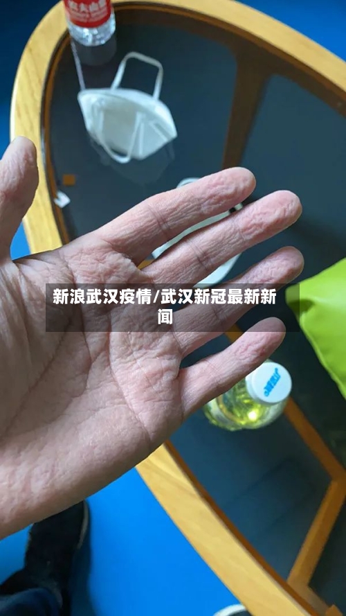 新浪武汉疫情/武汉新冠最新新闻-第2张图片