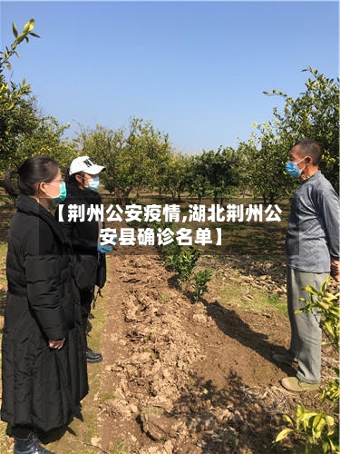 【荆州公安疫情,湖北荆州公安县确诊名单】-第2张图片