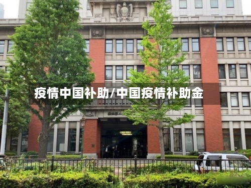 疫情中国补助/中国疫情补助金