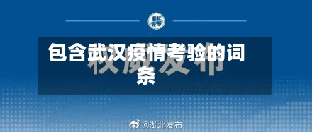 包含武汉疫情考验的词条