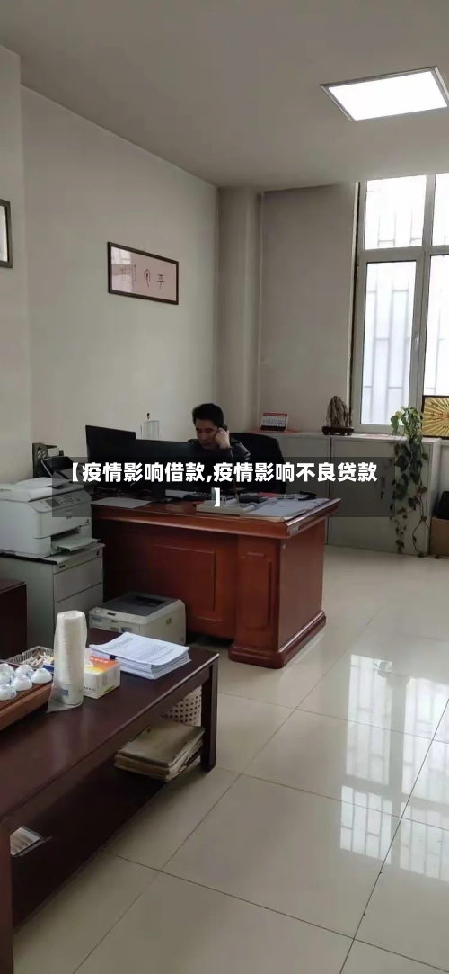 【疫情影响借款,疫情影响不良贷款】-第2张图片