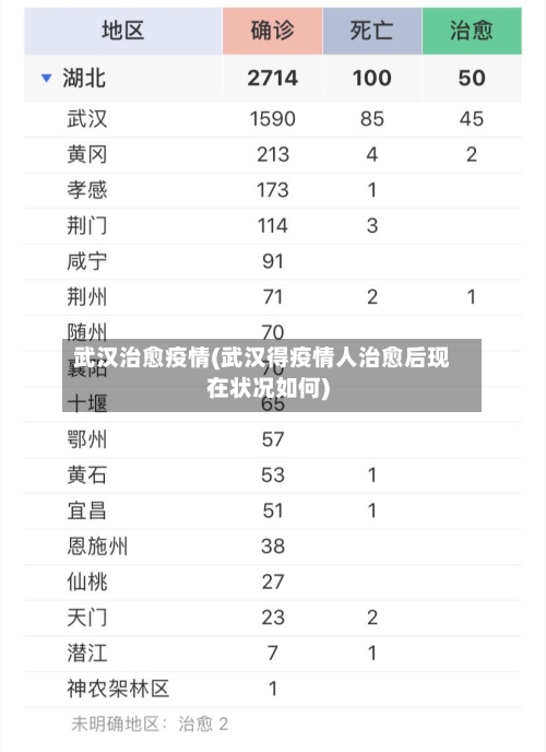武汉治愈疫情(武汉得疫情人治愈后现在状况如何)