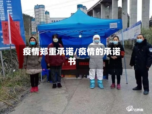 疫情郑重承诺/疫情的承诺书
