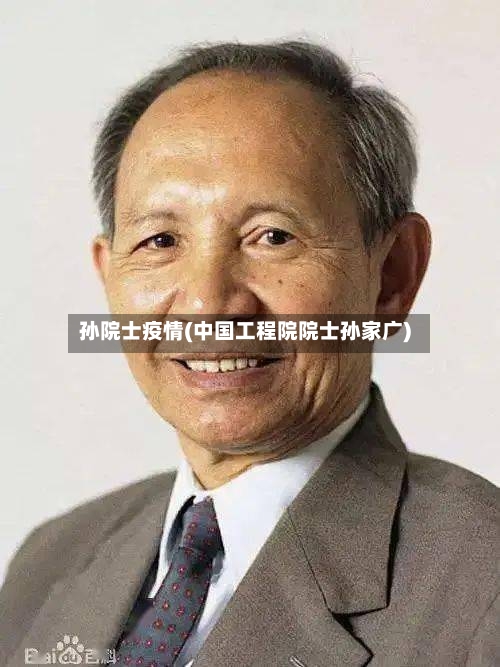 孙院士疫情(中国工程院院士孙家广)-第2张图片
