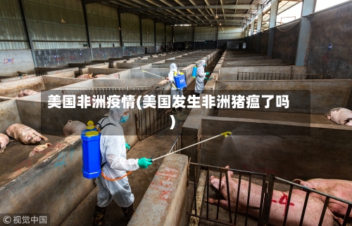 美国非洲疫情(美国发生非洲猪瘟了吗)