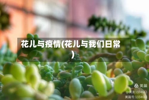 花儿与疫情(花儿与我们日常)