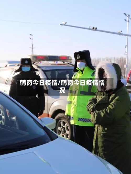 鹤岗今日疫情/鹤岗今日疫情情况-第2张图片