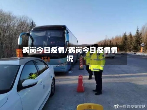 鹤岗今日疫情/鹤岗今日疫情情况-第3张图片