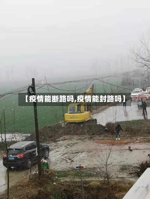 【疫情能断路吗,疫情能封路吗】-第2张图片