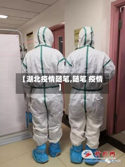 【湖北疫情随笔,随笔 疫情】