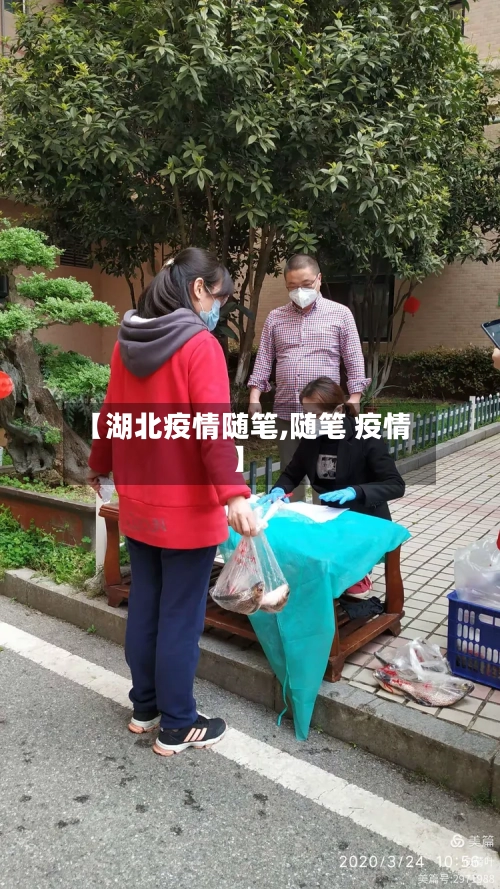 【湖北疫情随笔,随笔 疫情】-第3张图片