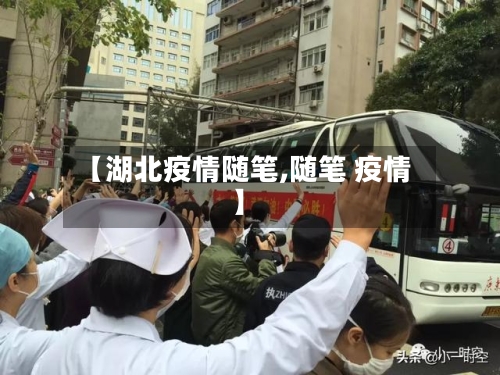 【湖北疫情随笔,随笔 疫情】-第2张图片