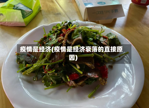 疫情是经济(疫情是经济衰落的直接原因)-第2张图片