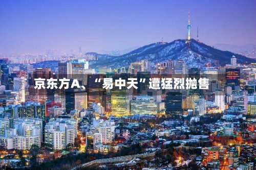 京东方A、“易中天”遭猛烈抛售-第2张图片