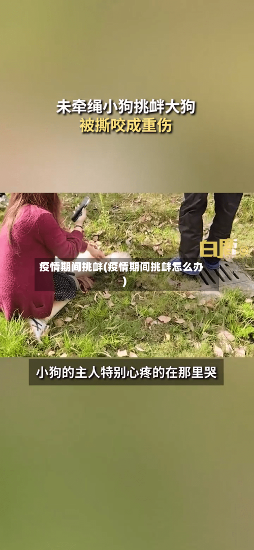 疫情期间挑衅(疫情期间挑衅怎么办)