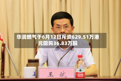 华润燃气于6月12日斥资629.51万港元回购36.83万股-第2张图片