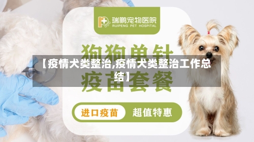 【疫情犬类整治,疫情犬类整治工作总结】