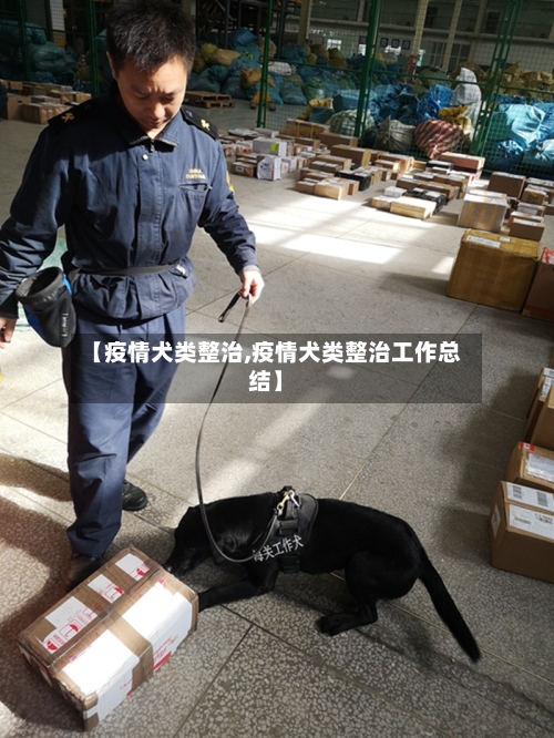 【疫情犬类整治,疫情犬类整治工作总结】-第2张图片