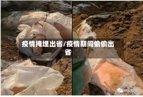 疫情掩埋出省/疫情期间偷偷出省