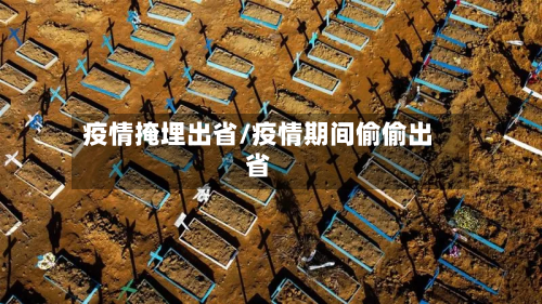 疫情掩埋出省/疫情期间偷偷出省-第2张图片