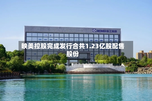 映美控股完成发行合共1.23亿股配售股份