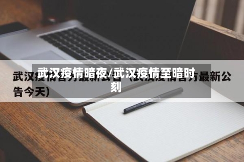 武汉疫情暗夜/武汉疫情至暗时刻-第3张图片