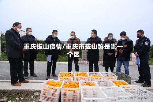 重庆拔山疫情/重庆市拔山镇是哪一个区
