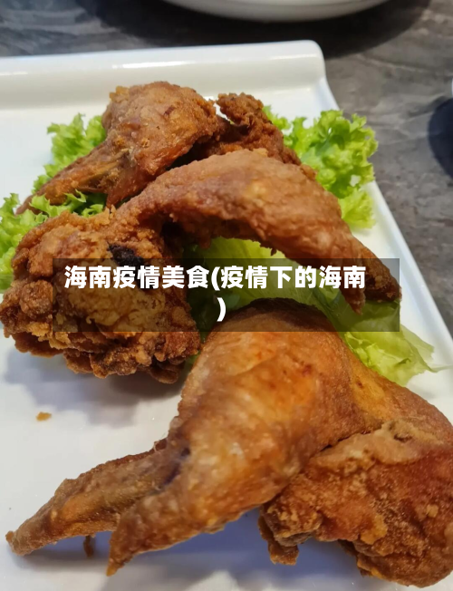 海南疫情美食(疫情下的海南)-第2张图片