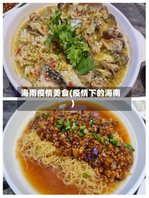 海南疫情美食(疫情下的海南)