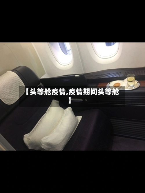 【头等舱疫情,疫情期间头等舱】-第2张图片