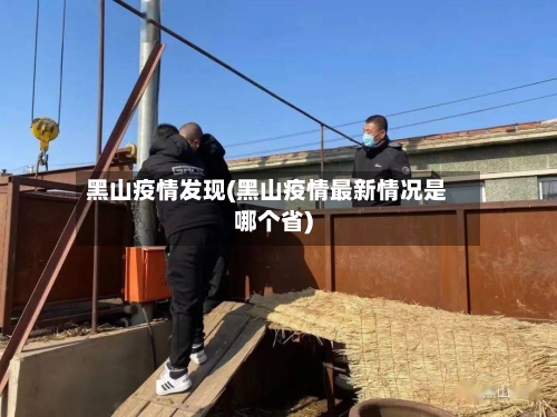 黑山疫情发现(黑山疫情最新情况是哪个省)-第2张图片