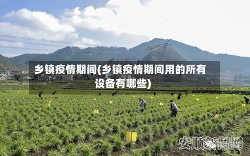 乡镇疫情期间(乡镇疫情期间用的所有设备有哪些)-第2张图片