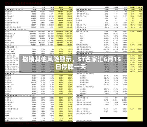 撤销其他风险警示，ST名家汇6月15日停牌一天-第3张图片