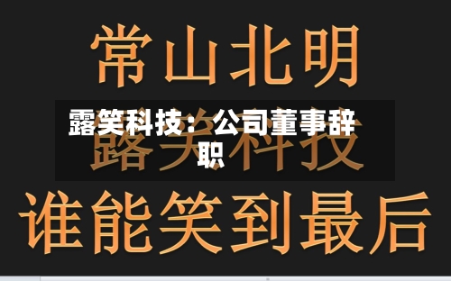 露笑科技：公司董事辞职