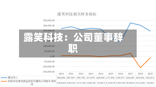 露笑科技:公司董事辞职-第2张图片