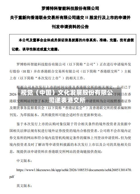视觉（中国）文化发展股份有限公司递表港交所