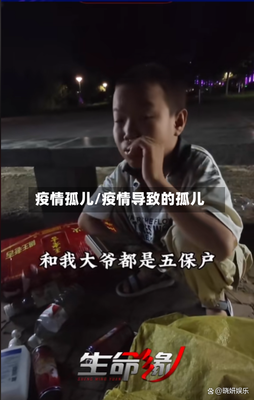 疫情孤儿/疫情导致的孤儿