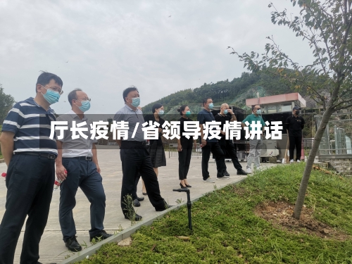 厅长疫情/省领导疫情讲话