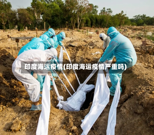印度海运疫情(印度海运疫情严重吗)-第3张图片