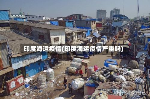 印度海运疫情(印度海运疫情严重吗)