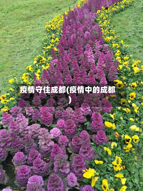 疫情守住成都(疫情中的成都)-第2张图片