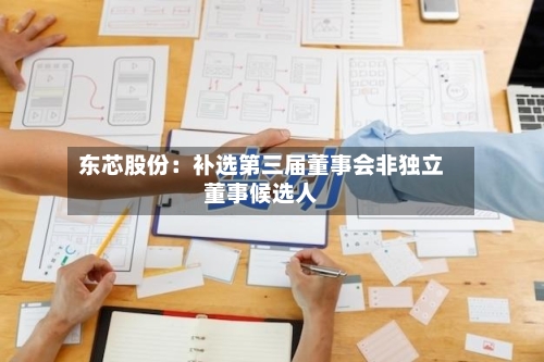 东芯股份：补选第三届董事会非独立董事候选人