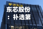 东芯股份:补选第三届董事会非独立董事候选人-第2张图片