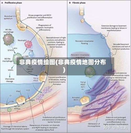非典疫情绘图(非典疫情地图分布)-第2张图片